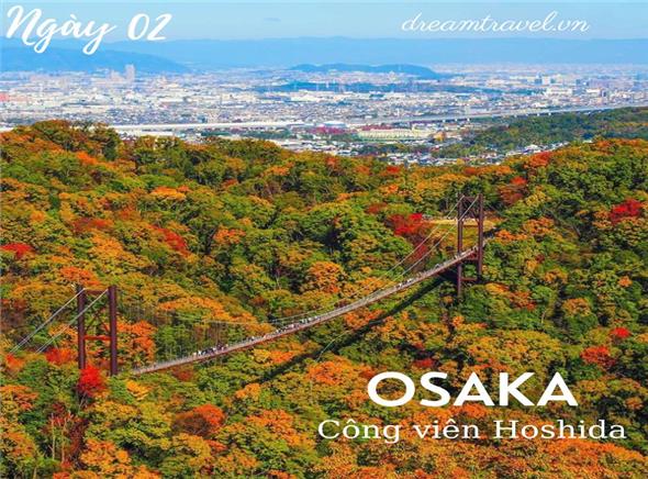 Du lịch Nhật Bản 2022:Osaka Castle - Hoshida Park - Kyoto - Oshino Hakkai - Công viên Nikko - Núi Phú Sĩ 8 ngày 7 đêm